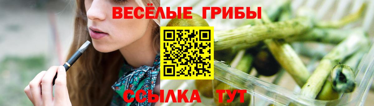 Галлюциногенные грибы Psilocybe Рузаевка